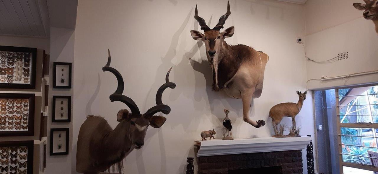 Afton Safari Lodge เคมป์ตัน พาร์ค ภายนอก รูปภาพ